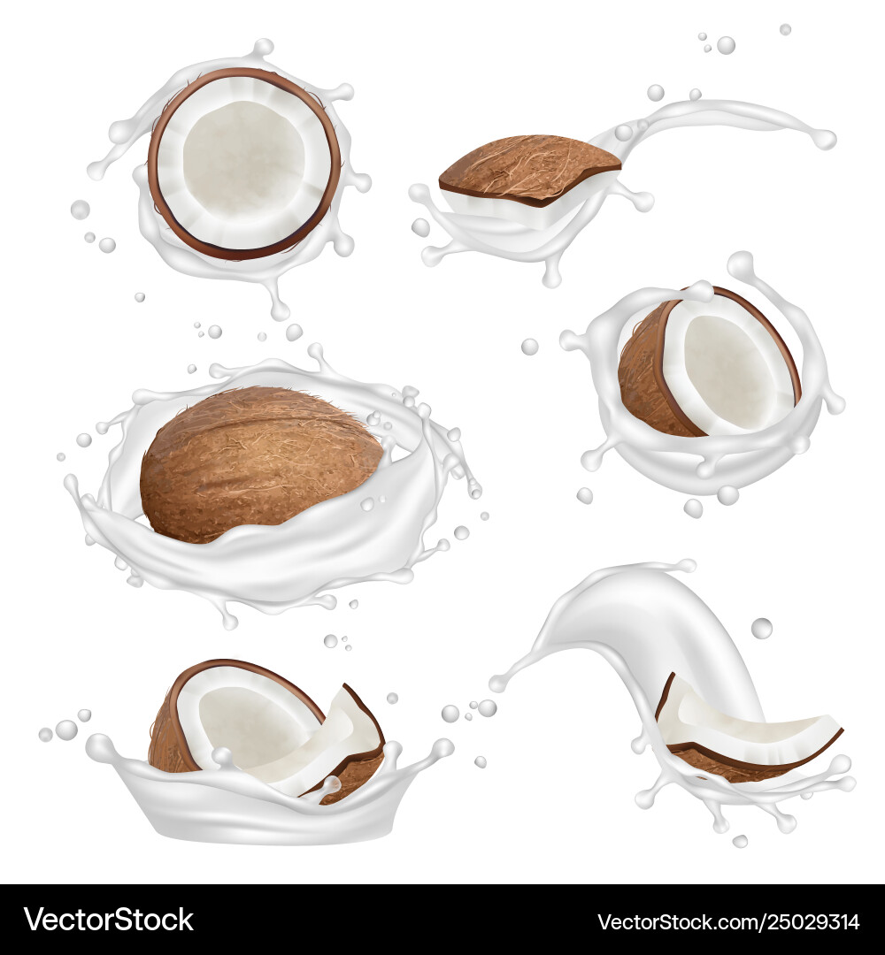 Kokosmilch Splash - Tropische Früchte vektorbild
