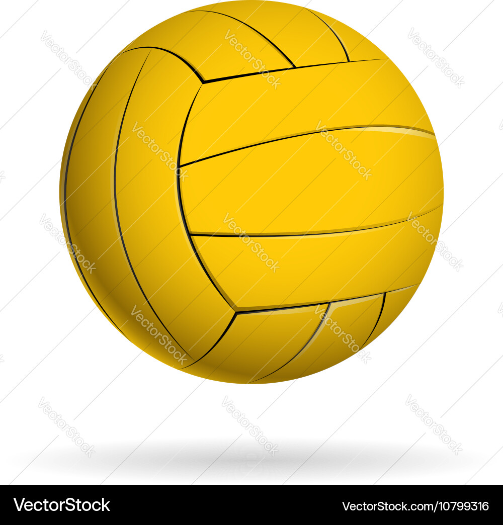 Water Polo Ball - Team Logo Vector Image