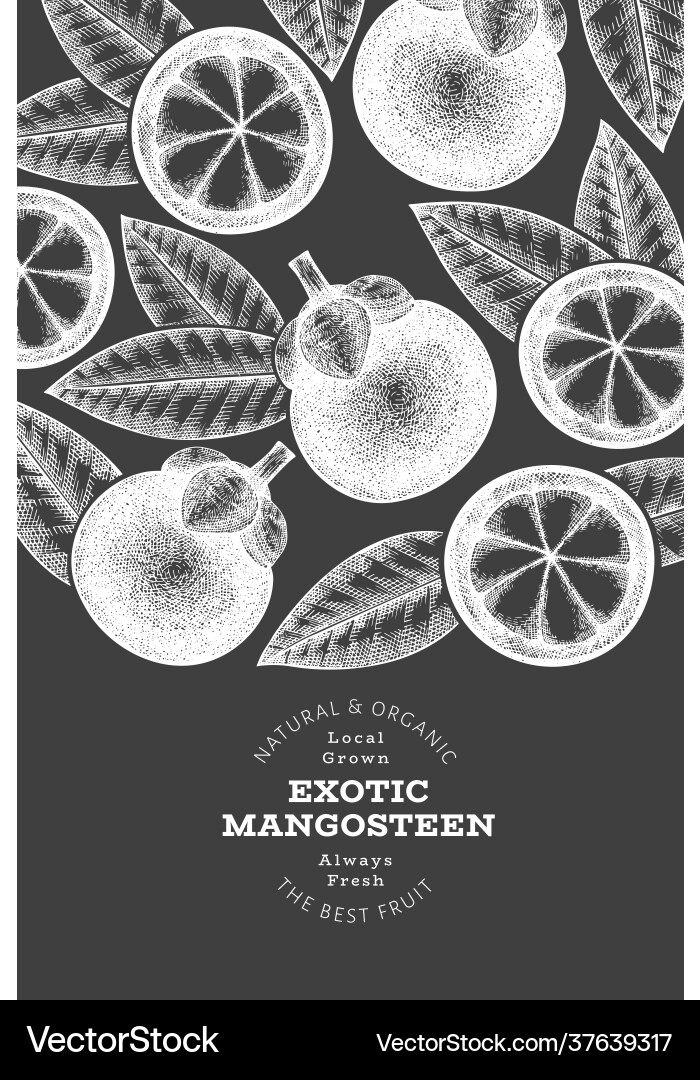 Hand gezeichnete Skizze Stil Mangosteen Design Hand gezeichnete Skizze Stil Mangosteen Design Vektorbild