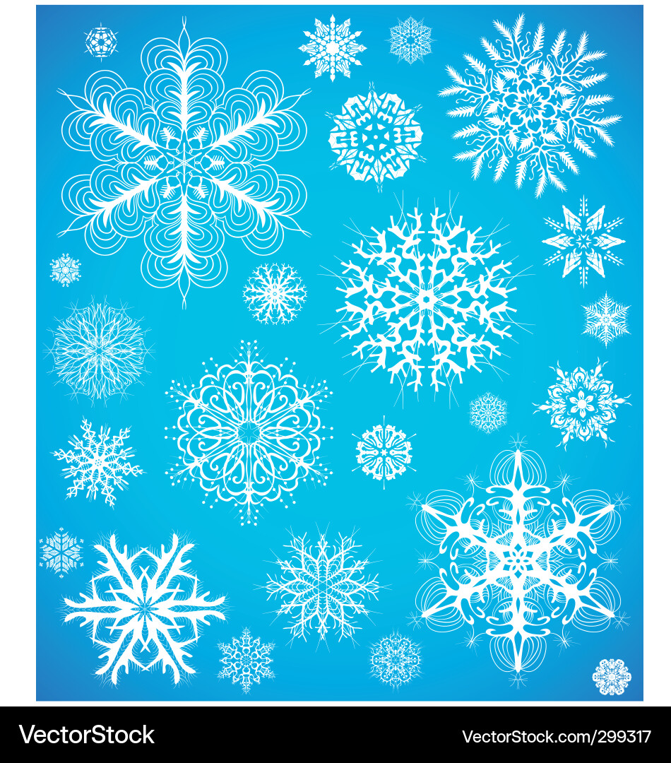 Snowflake design collection vector image