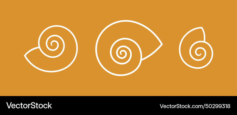 Snail shell vector image