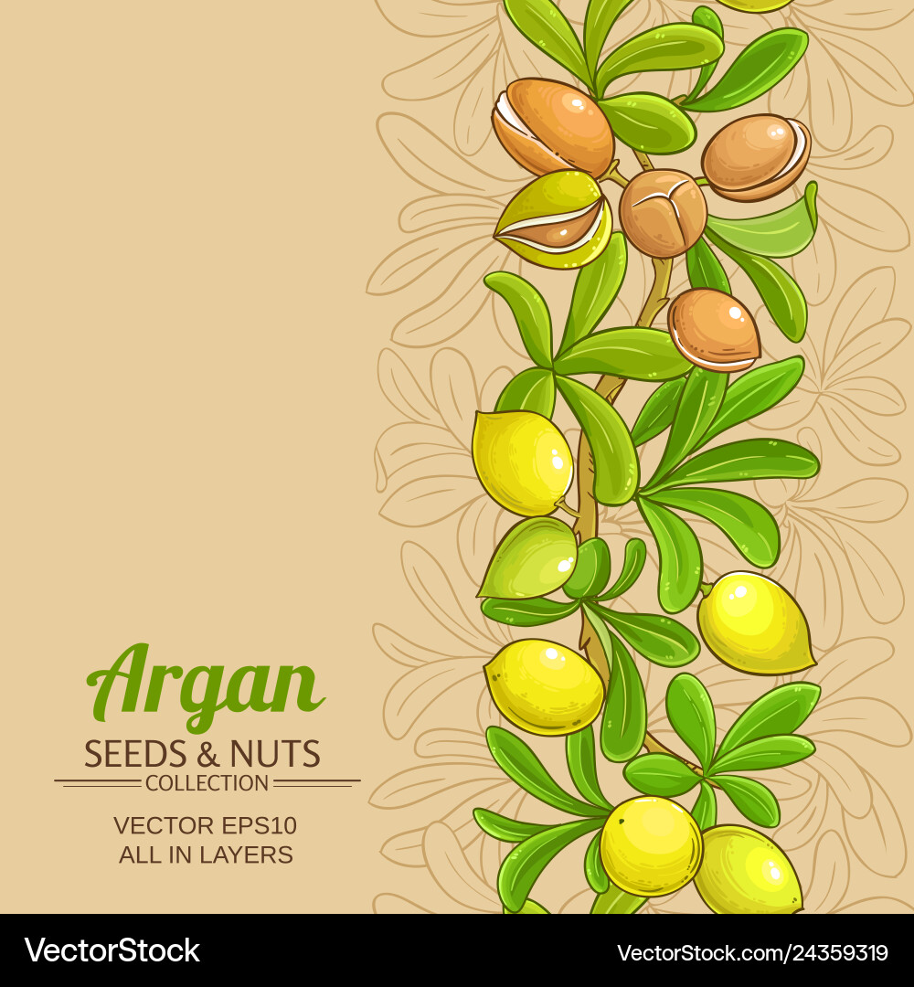 Argan branches pattern on color background Argan branches pattern on color background vector image