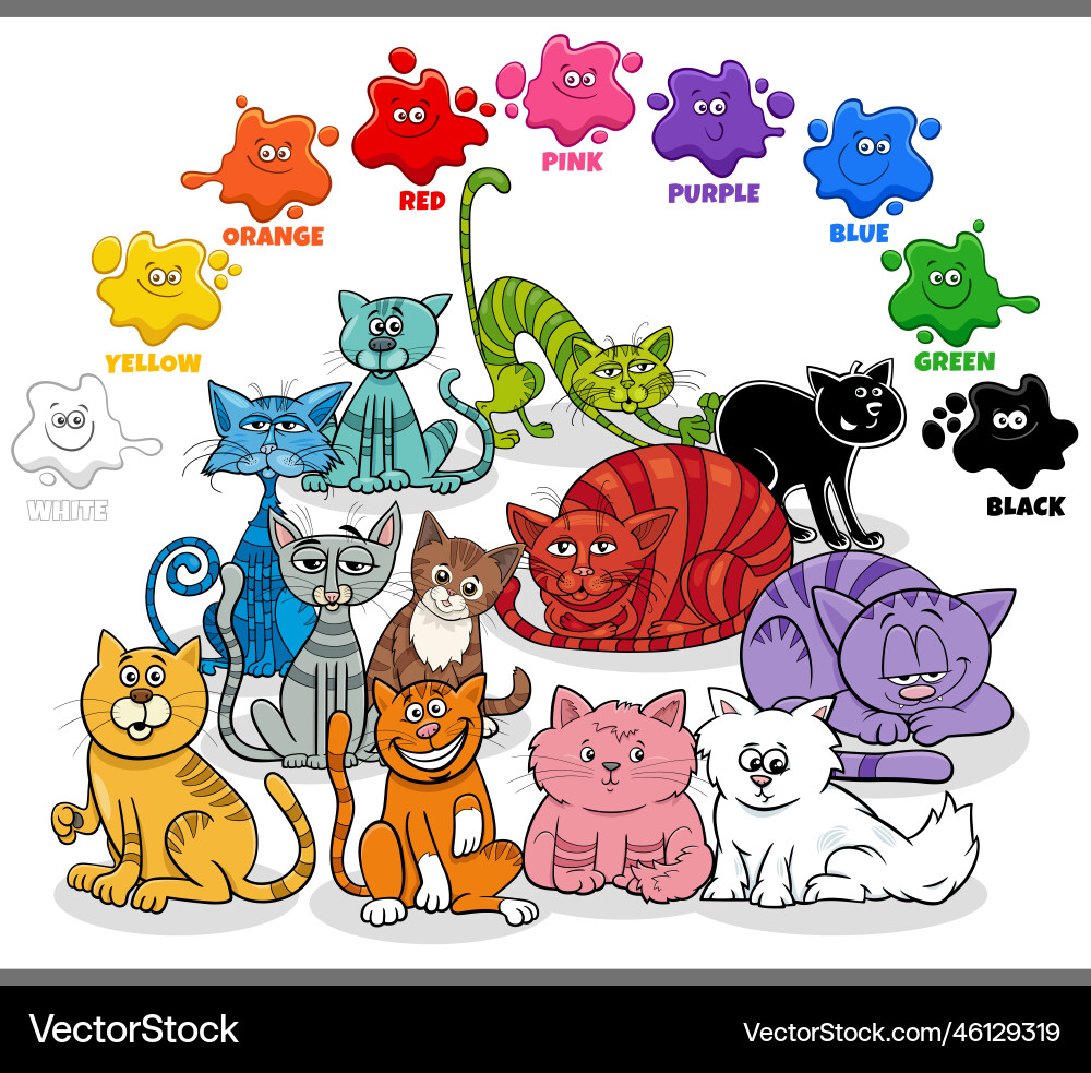 She cat colours