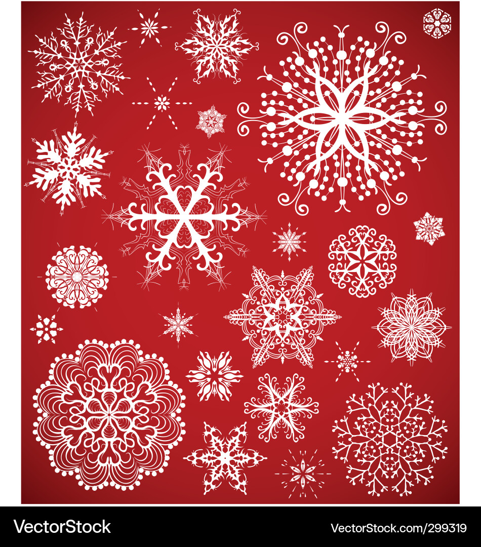 Elegant Snowflake Collection Vector Image