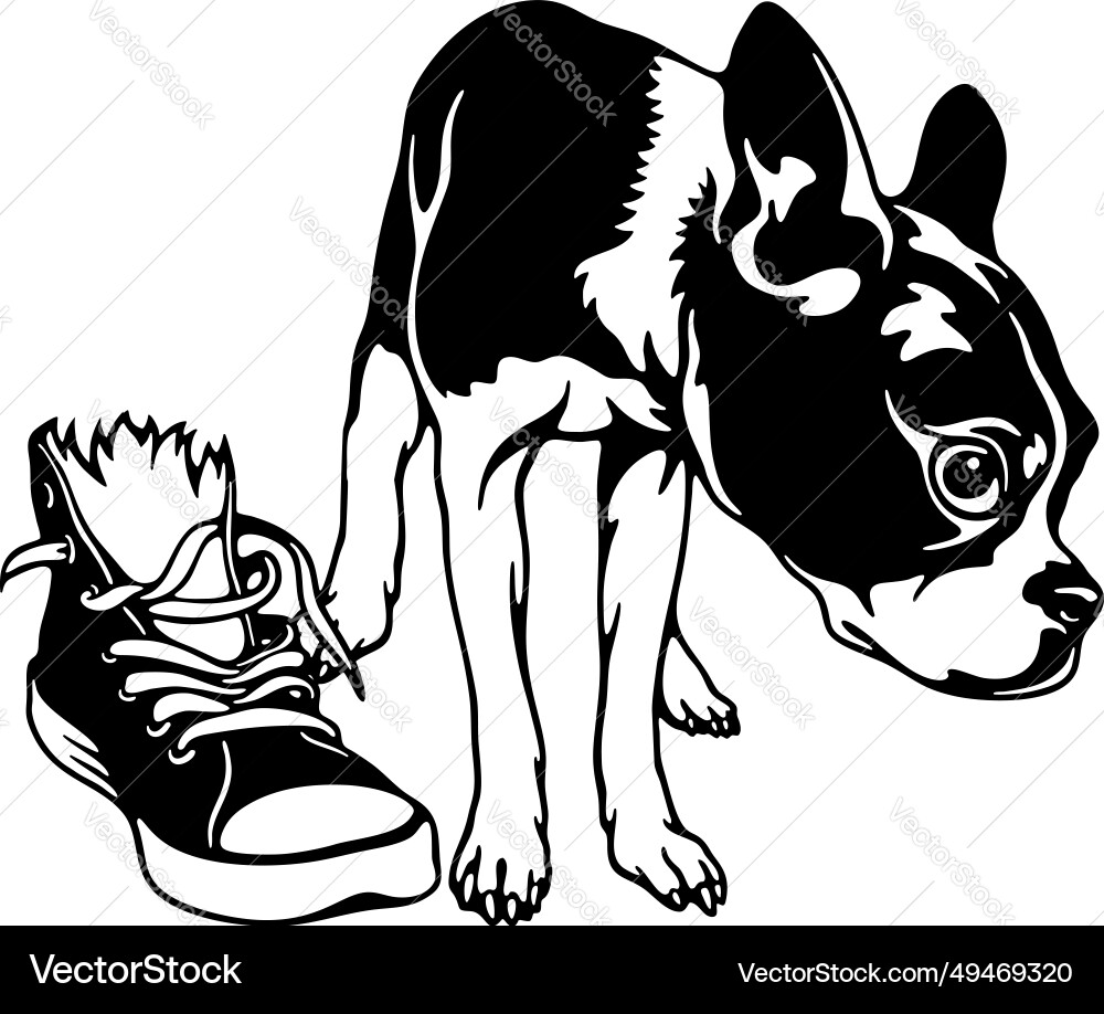 Guilly French Bulldog vektorbild