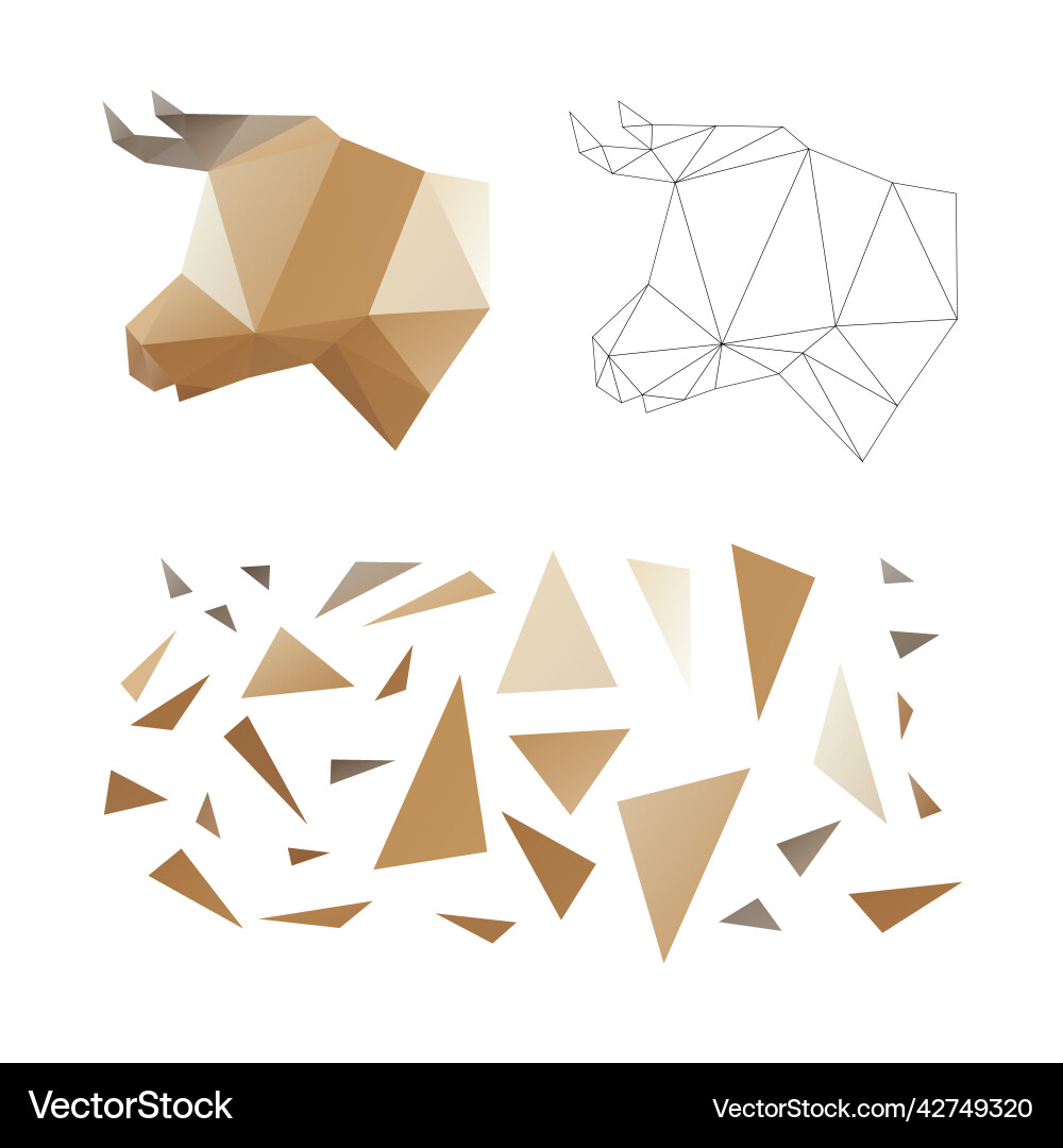 Polygonal puzzle game constructor from triangles Polygonal puzzle game constructor from triangles vector image