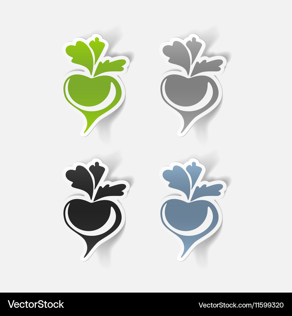 Realistic design element Vector Image