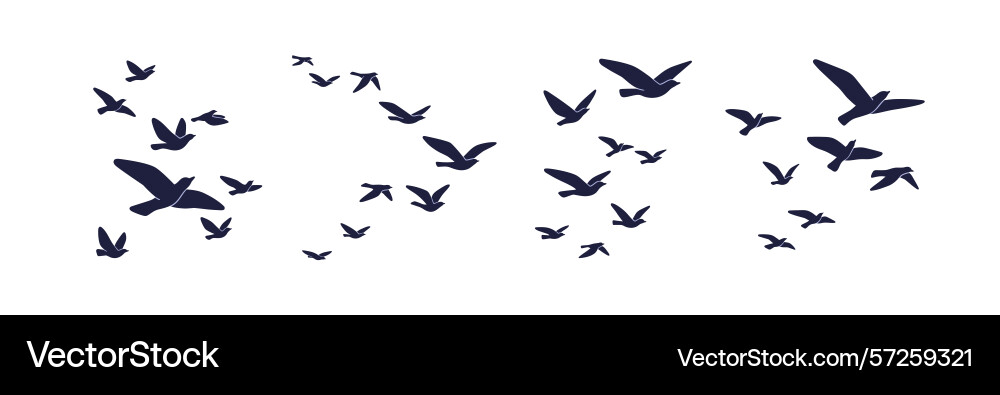 Bird flock silhouettes free doves in groups fly Bird flock silhouettes free doves in groups fly Vector Image