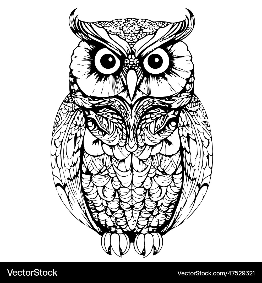 Hand-Drawn Owl Sketch – Royalty-Free Vector | VectorStock, image size:1000x1080