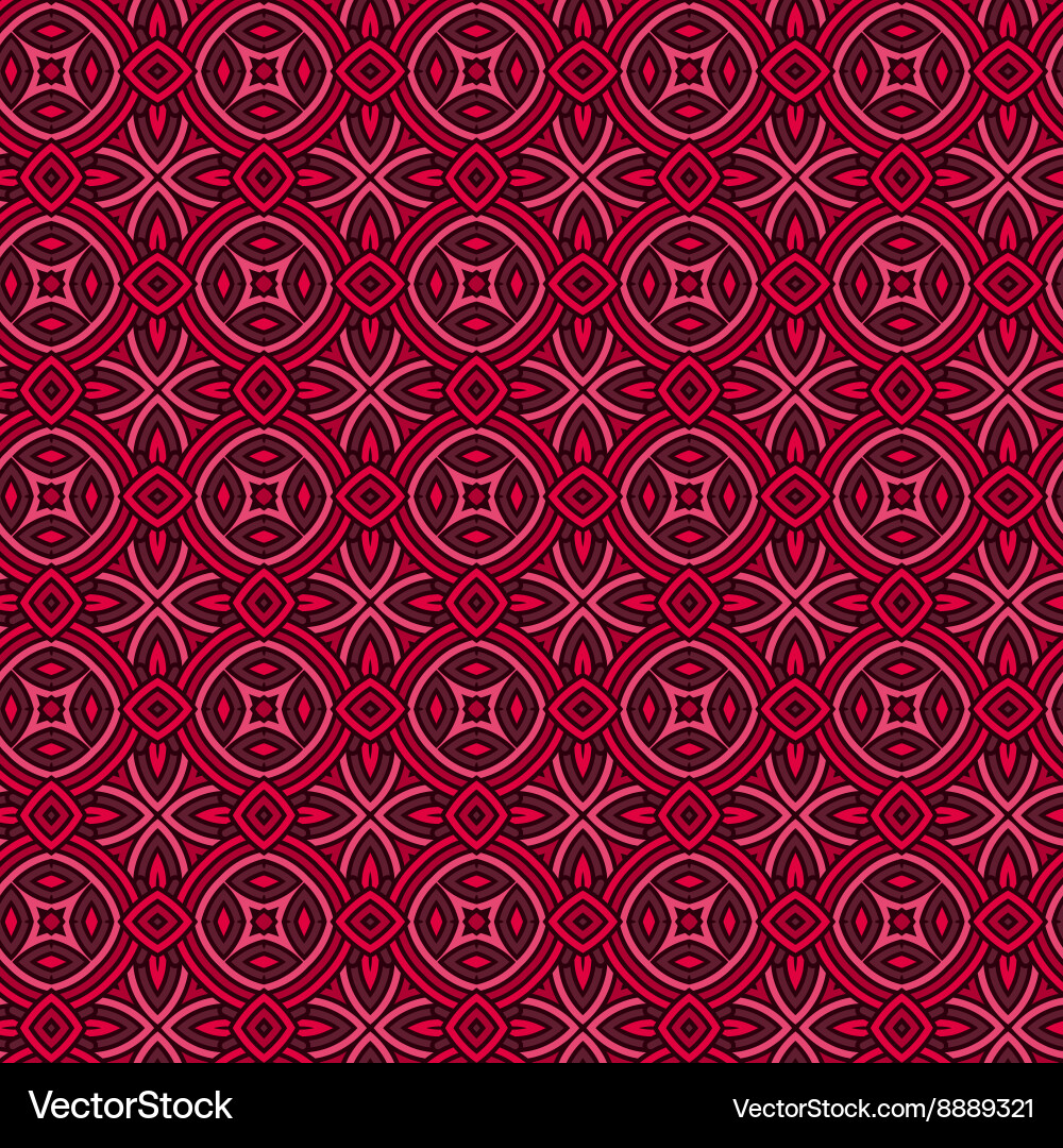 Intricate Ethnic Pattern vector image