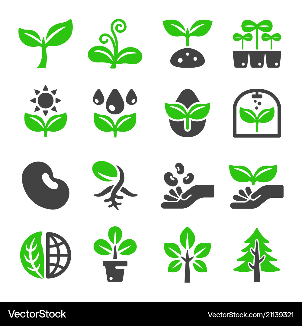 Plant icon vector image