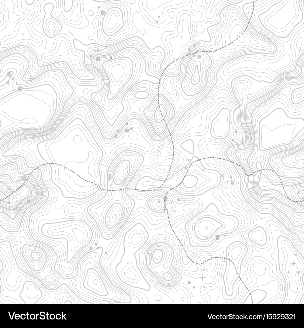 Seamless pattern topographic map background Vector Image