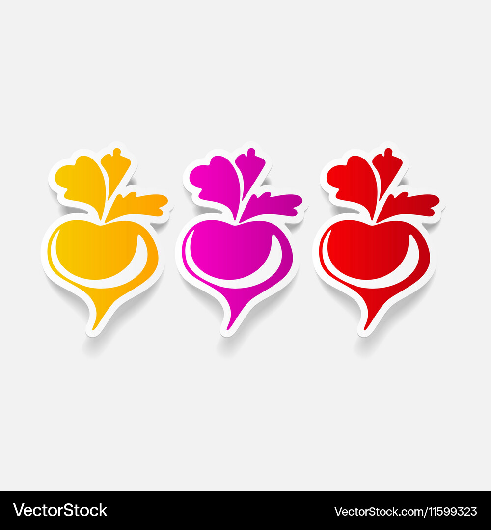 Realistic design element Vector Image