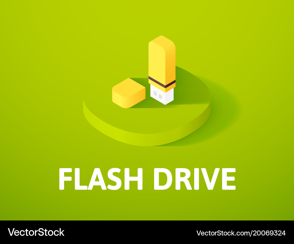 Flash drive isometric icon isolated on color vector image
