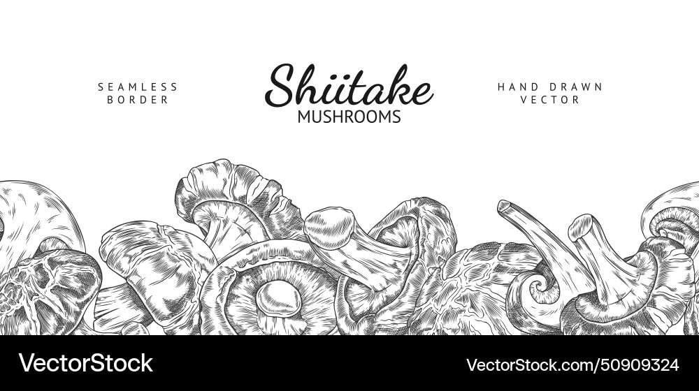 Nahtlose Grenze mit Shishatake Pilze Haufen Nahtlose Grenze mit Shishatake Pilze Haufen vektorbild