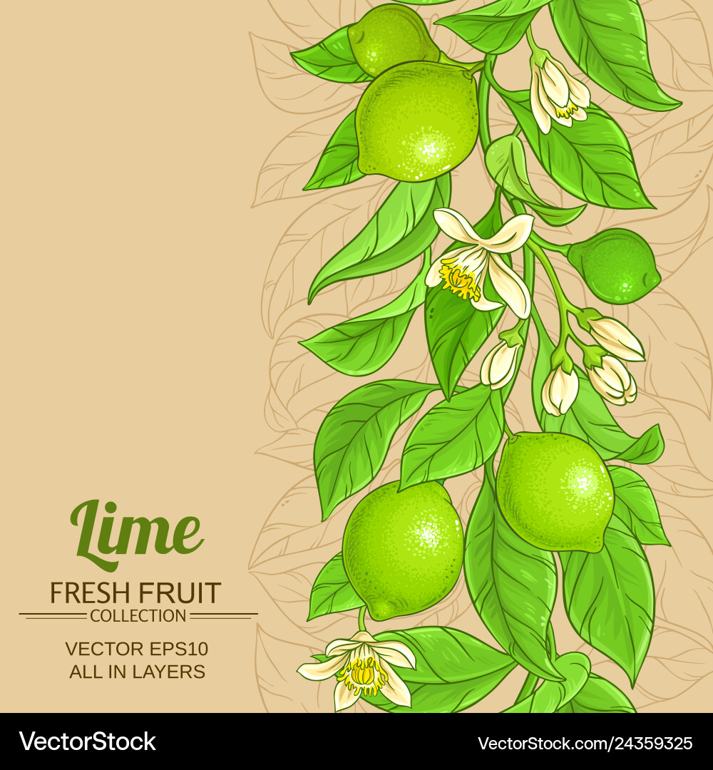 Lime branches pattern on color background Lime branches pattern on color background vector image