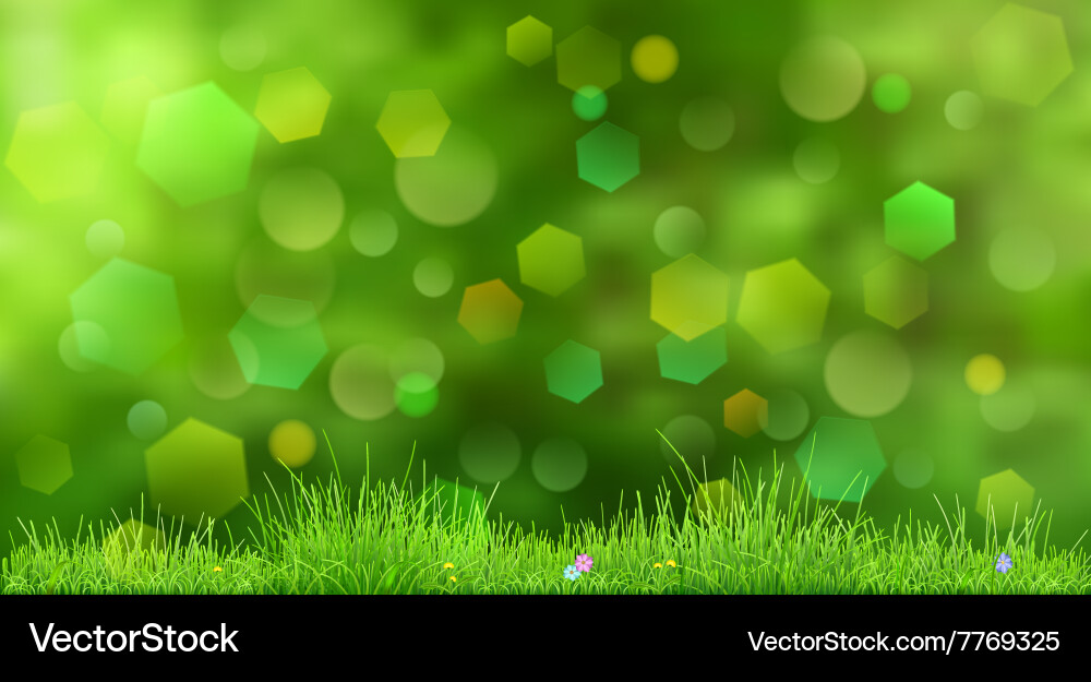 Spring background vector image