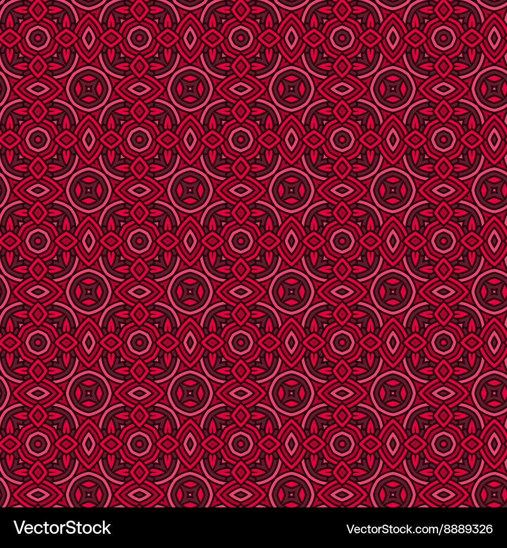 Intricate Ethnic Pattern vector image