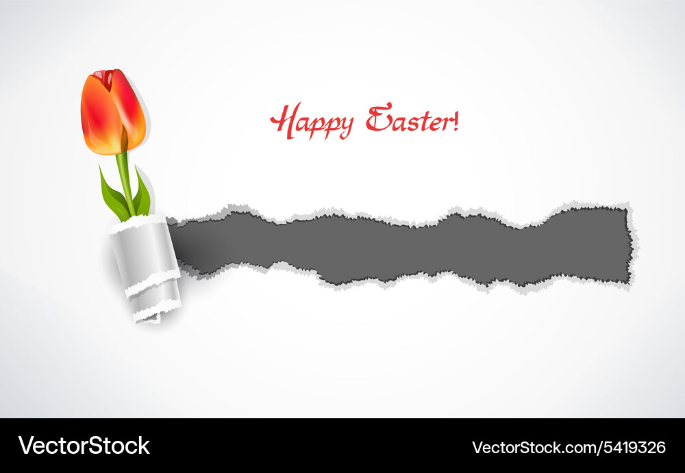 Spring background Vector Image