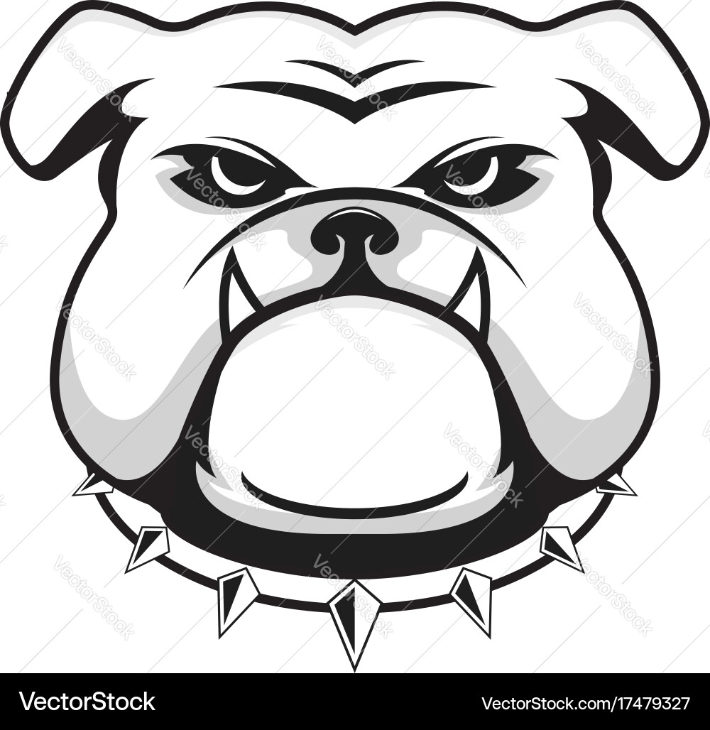 Bulldog Mascot Head vector image