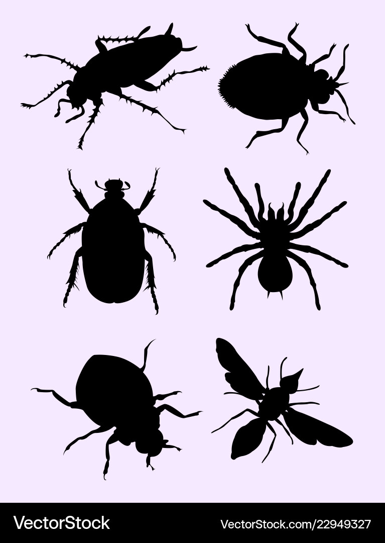 Stink Bugs Silhouette Stink Bugs Silhouette vektorbild