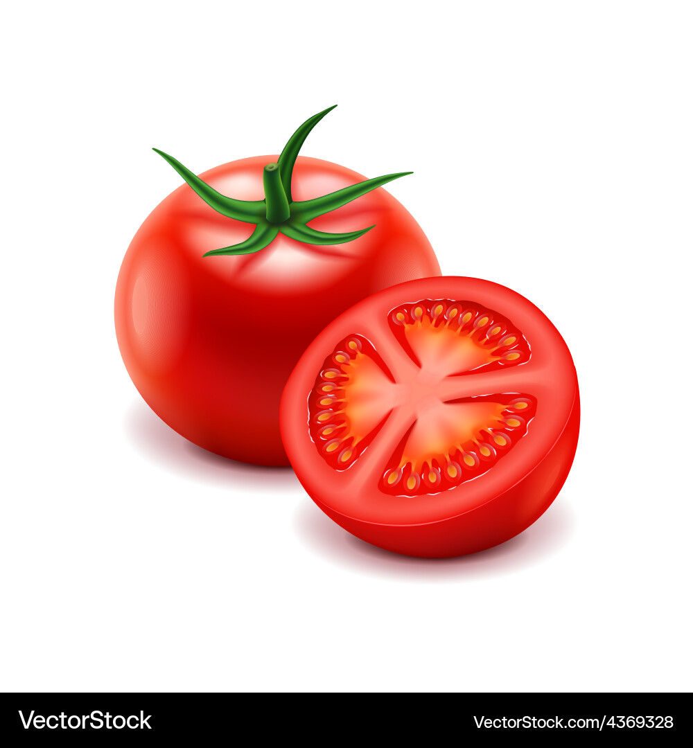 Isolierte Tomaten Slice Vektorbild