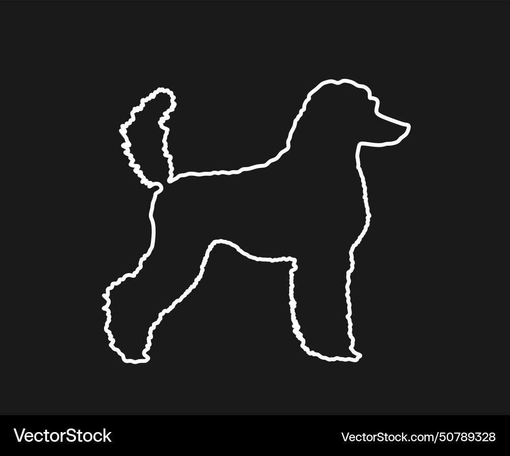 Portrait of royal poodle line contour silhouette Portrait of royal poodle line contour silhouette vector image
