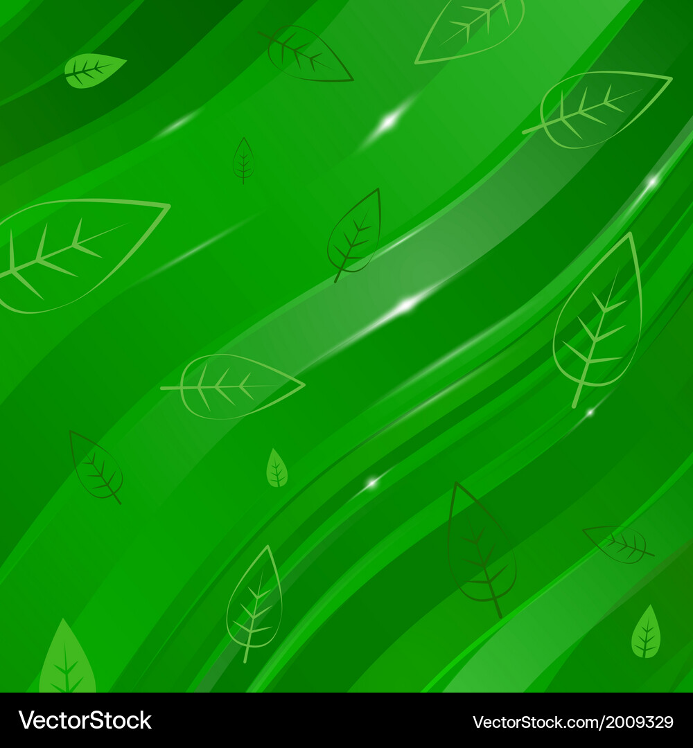 Abstract linear background with leaves for design Vector Image