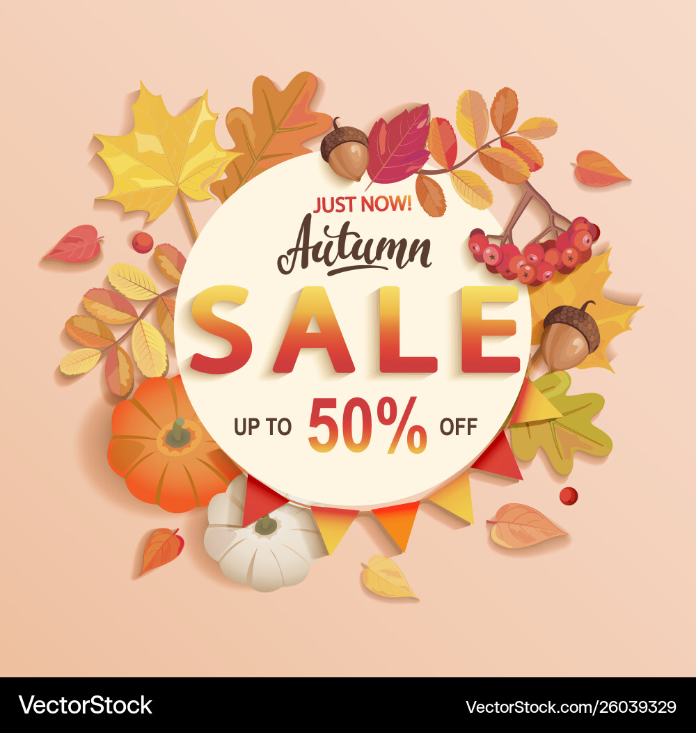 Autumn sale banner up to 50 percent off vector image