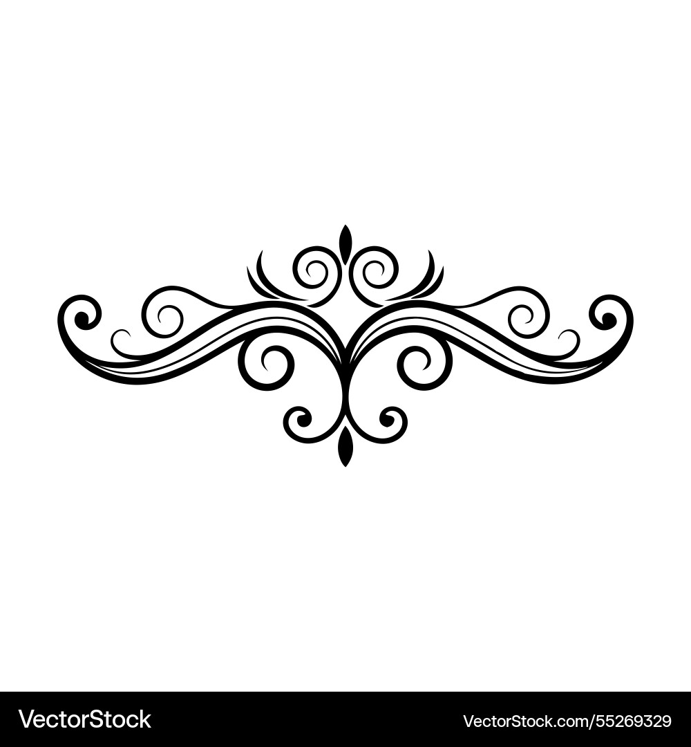 Featuring intricate swirls and flowing patterns Featuring intricate swirls and flowing patterns vector image