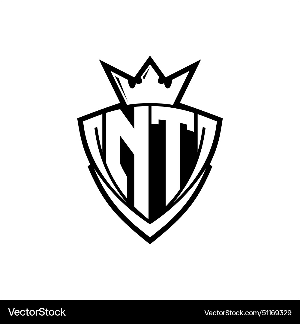 Nt letter logo with sharp triangle shield shape vector image