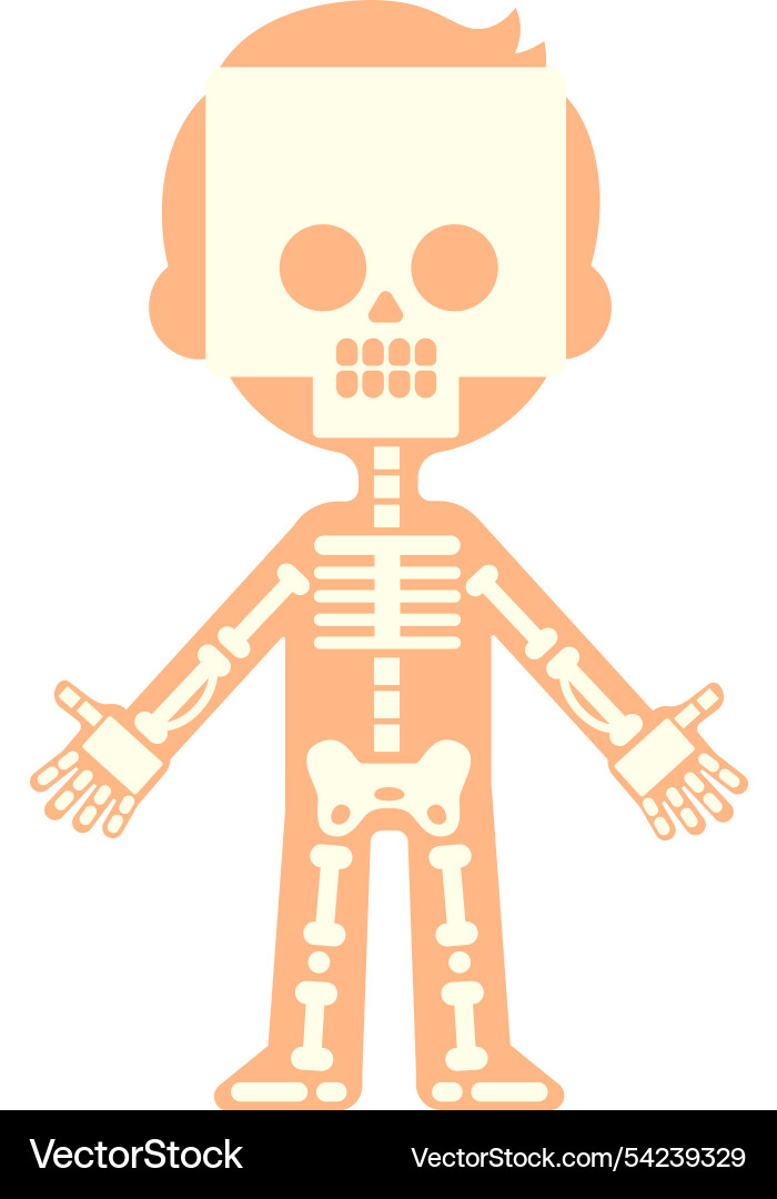 Simple stylized of a child skeleton Simple stylized of a child skeleton vector image
