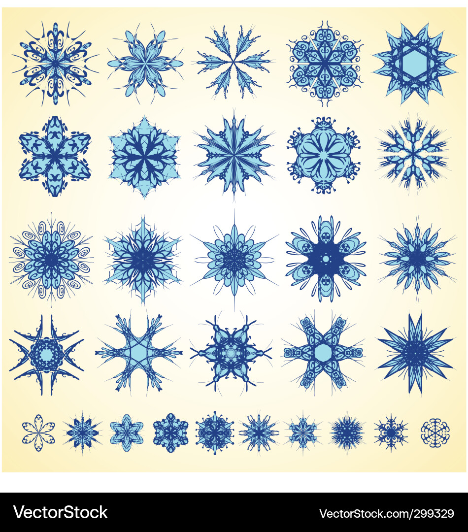Snowflake design collection vector image