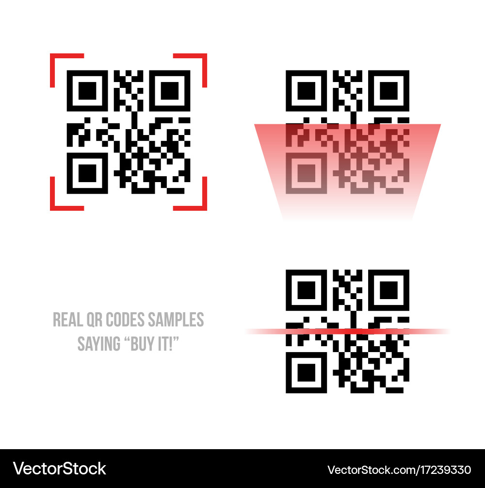 Qr code samples vector image