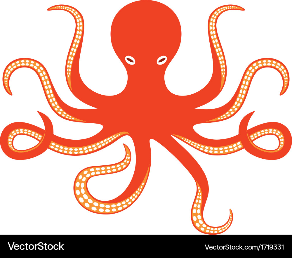 Ocean Octopus Vector Image