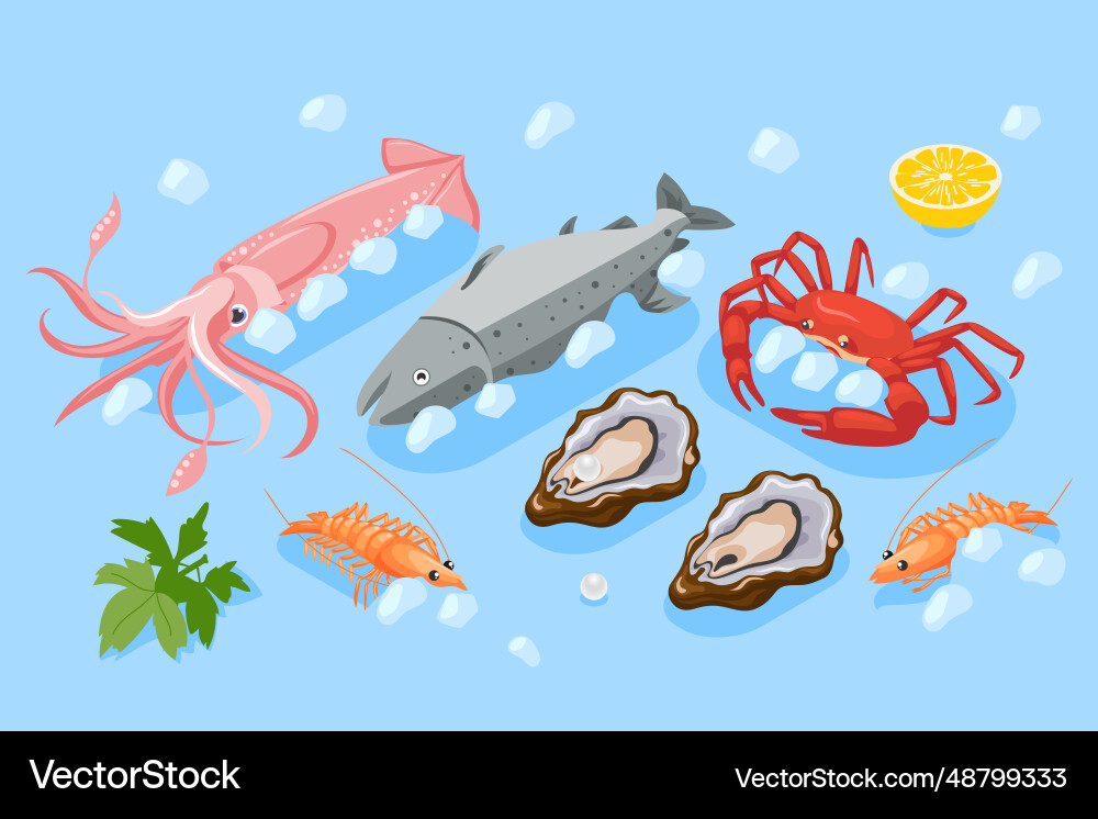 Mariculture isometric abstract background vector image