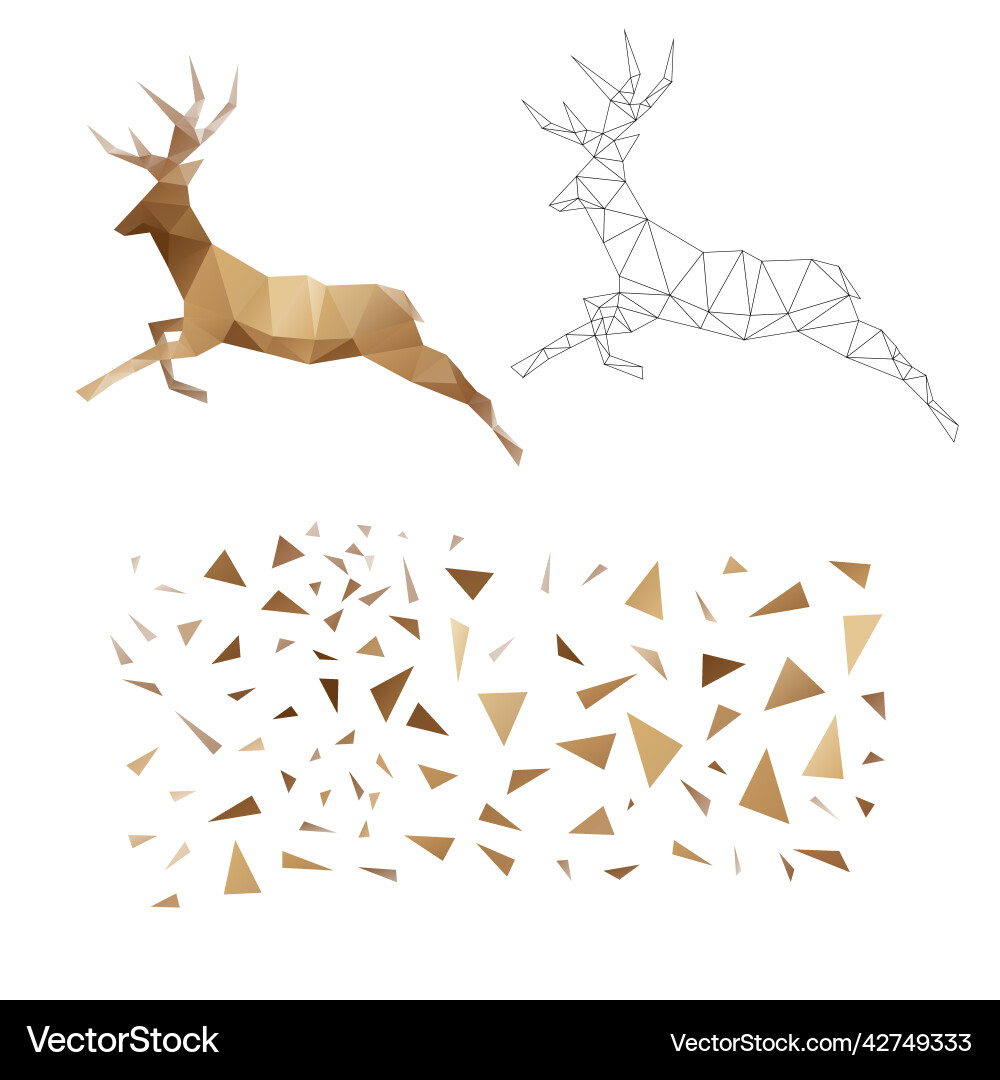 Polygonal puzzle game constructor from triangles Vector Image