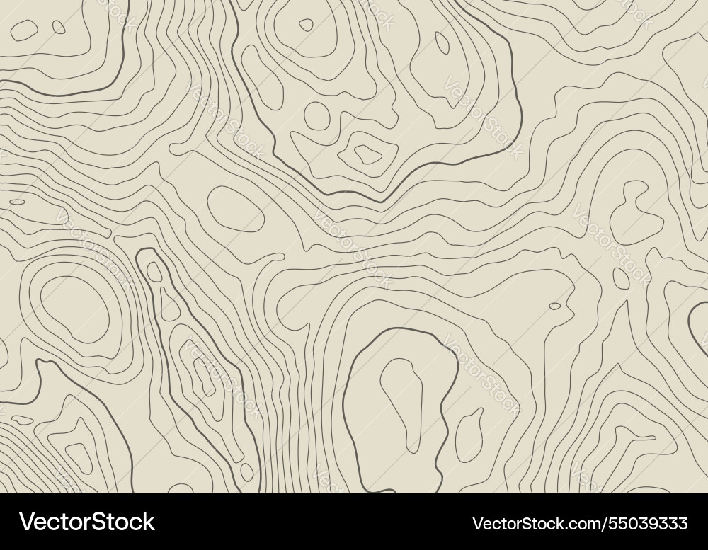 Topographic map background with altitude lines Topographic map background with altitude lines vector image