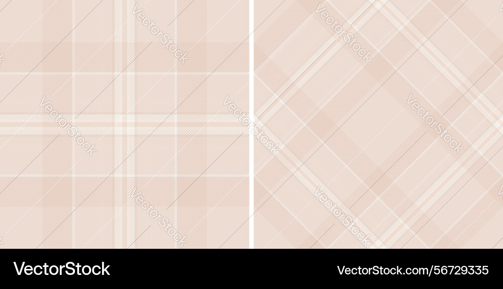 Elegant soft plaid pattern subtle lines form vector image
