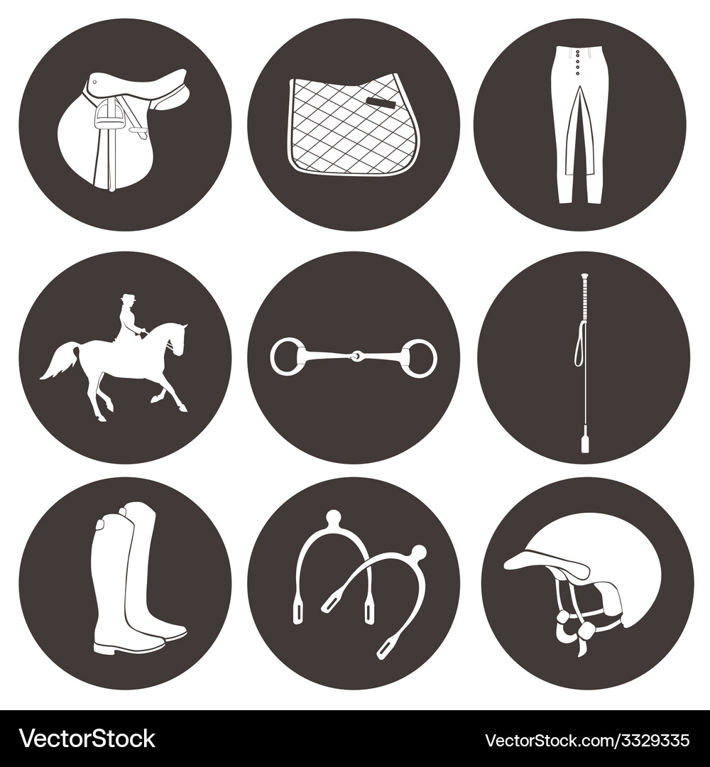 Horse Riding Equipment Icons Vector Image