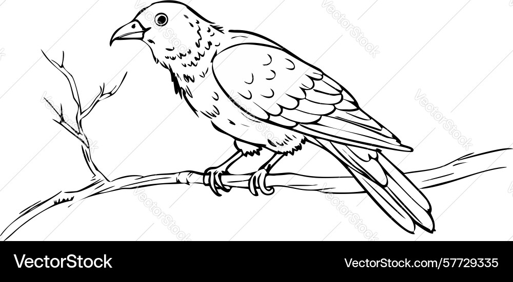 Line art sparrow bird on tree branch design vector image