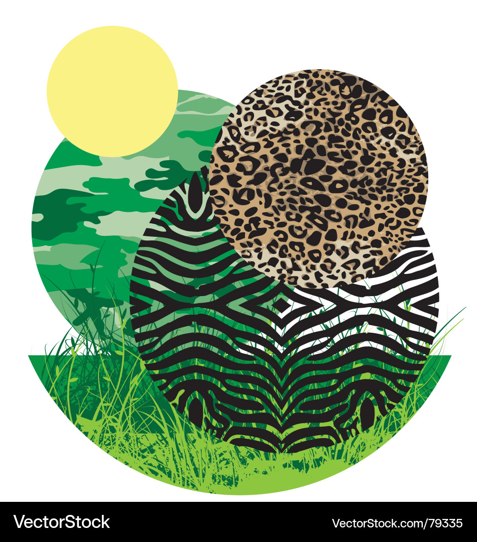 Zebra Pattern Collage Vector Image