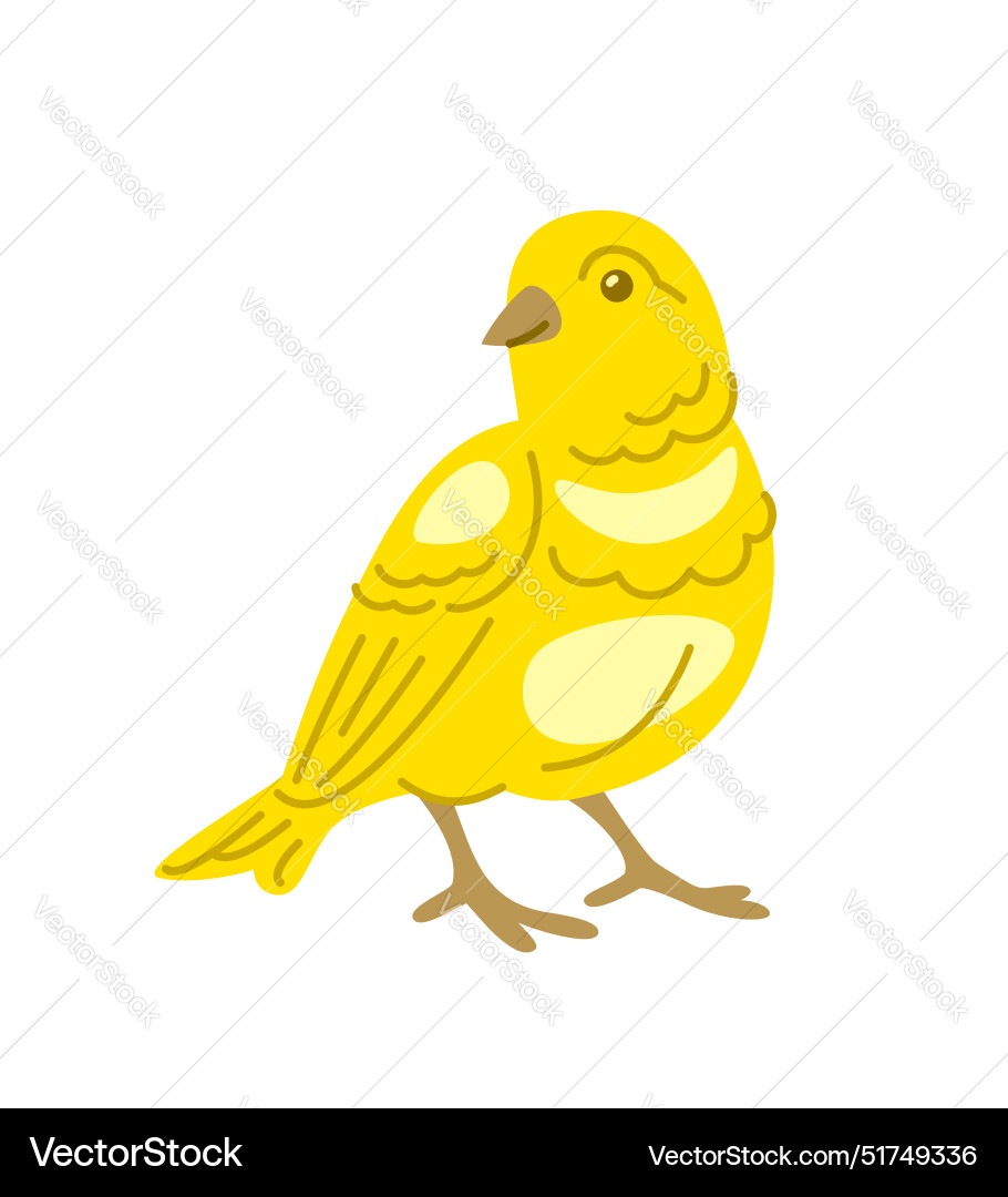 Canary bird pet doodle hand drawn character Canary bird pet doodle hand drawn character vector image