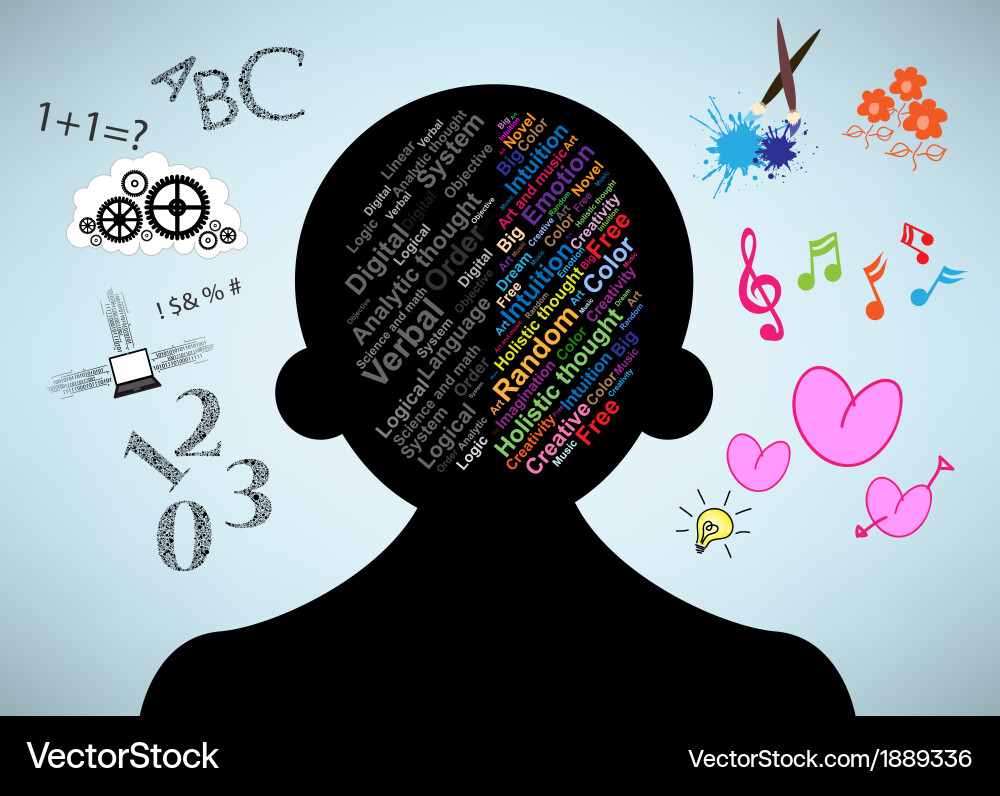 Left and right brain function vector image