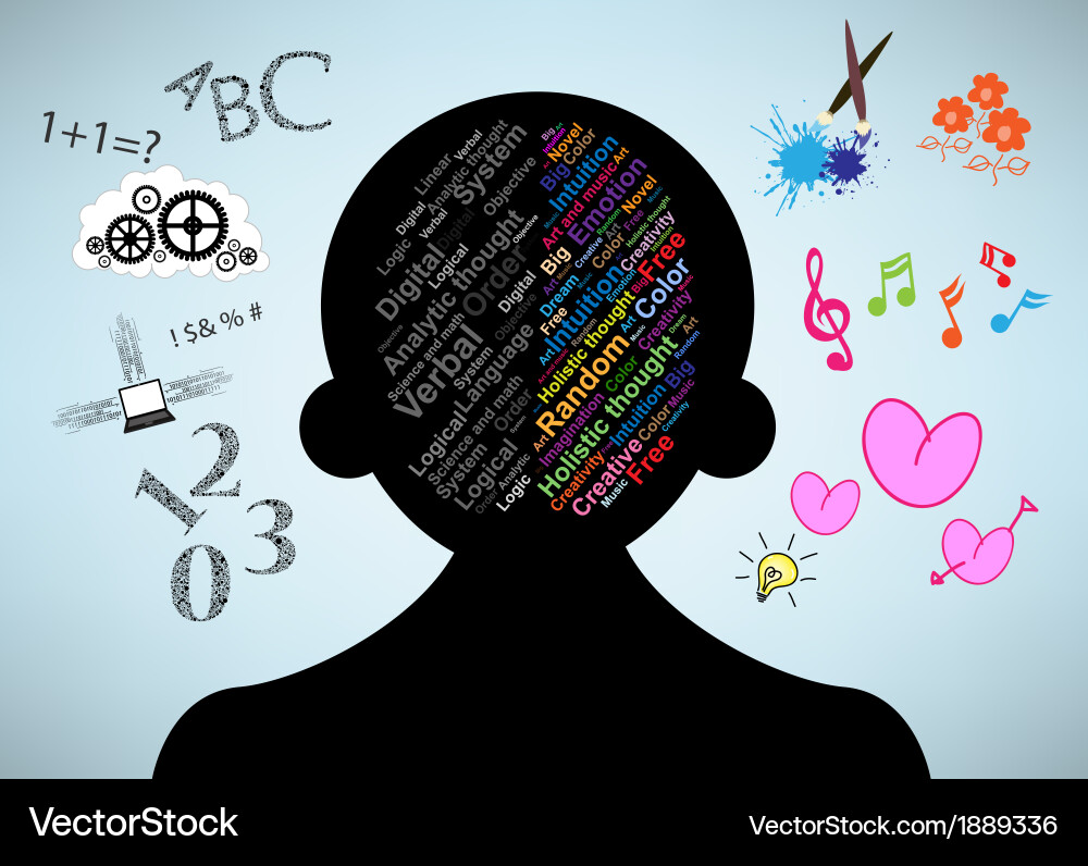 Left and right brain function