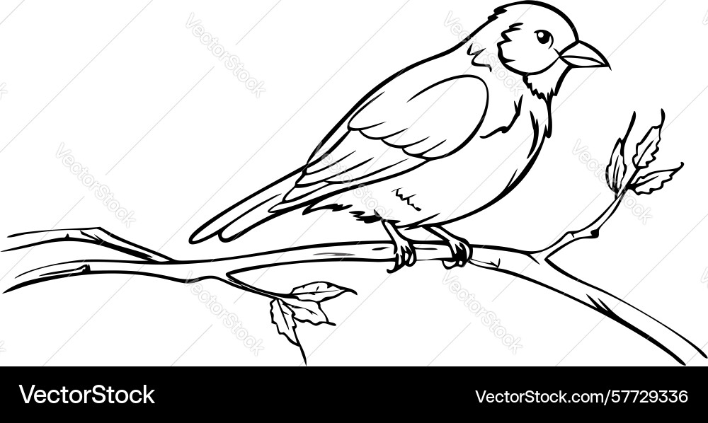 Line art bird sitting on a tree branch design Vector Image