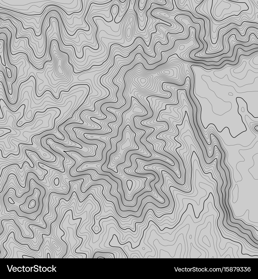 Topographic map background with space for copy vector image
