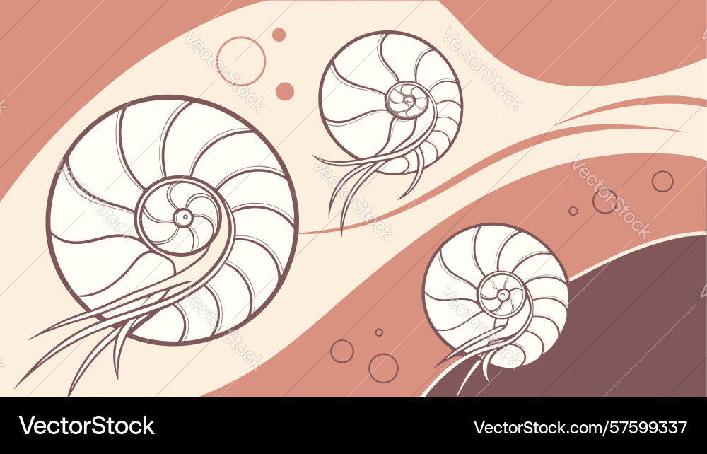 Ammonite fossil shell with abstract waves ancient vector image