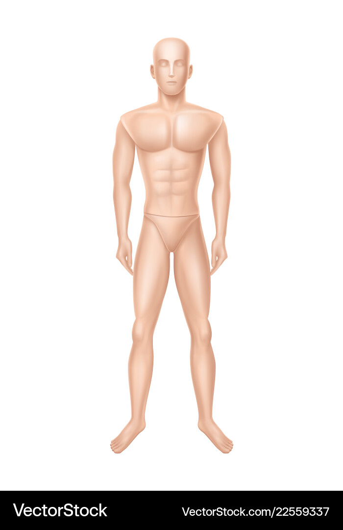 Male mannequin manikin for clothing store Male mannequin manikin for clothing store vector image
