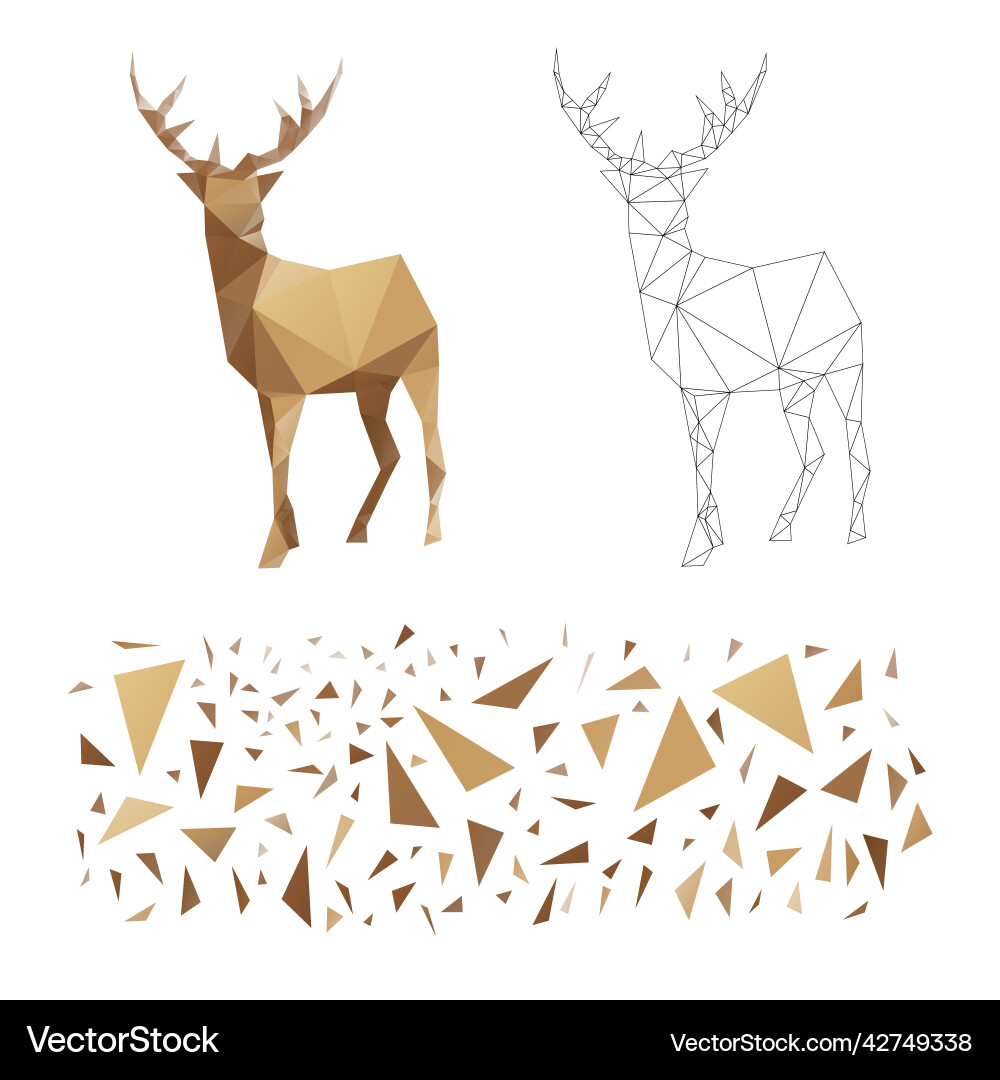 Polygonal puzzle game constructor from triangles Polygonal puzzle game constructor from triangles vector image